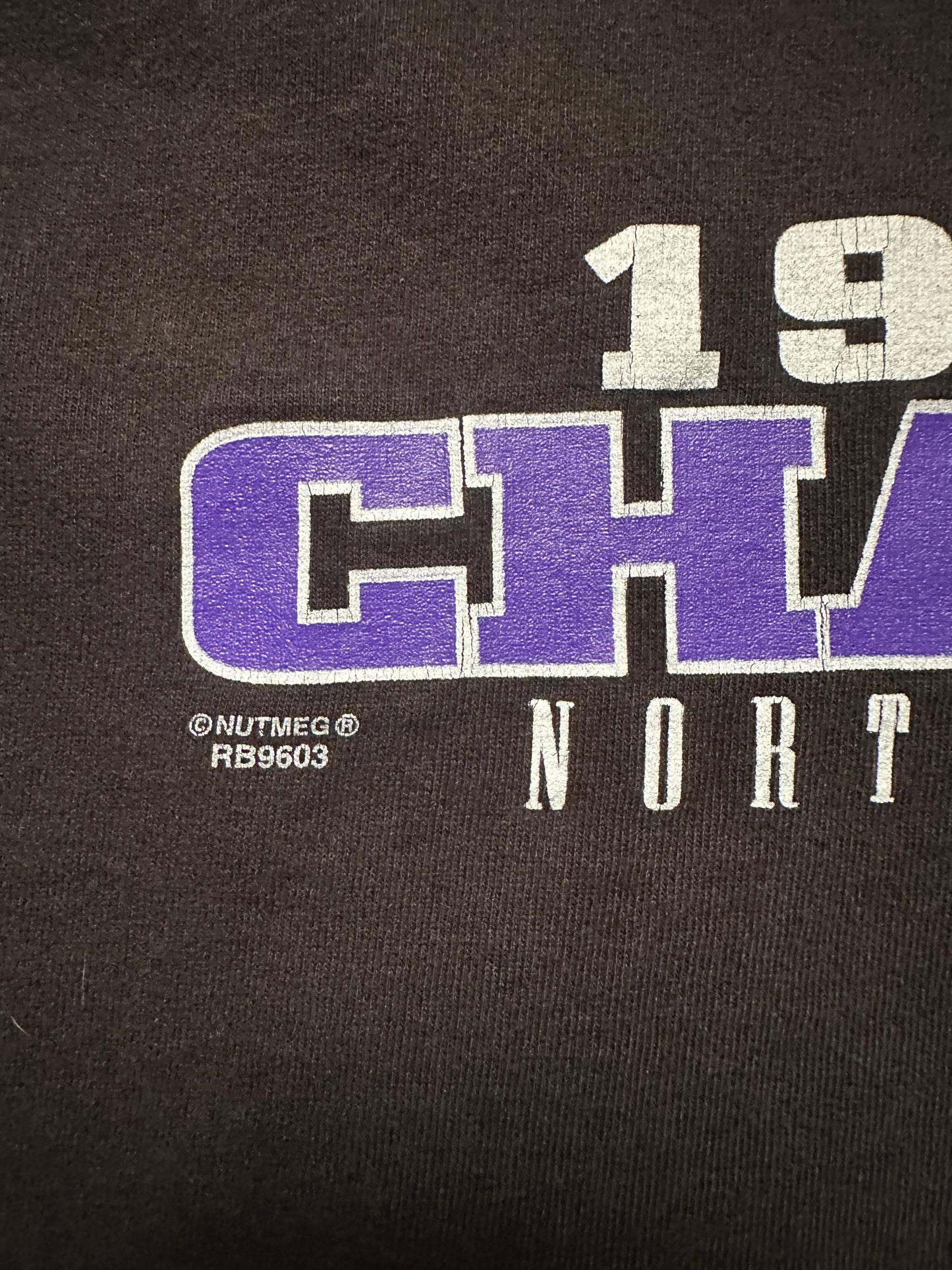 Northwestern university tee