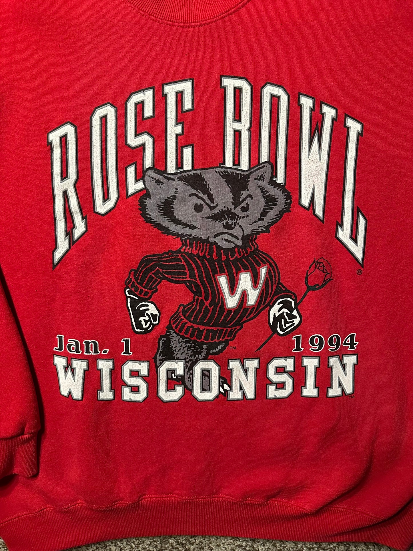 Wisconsin university crewneck