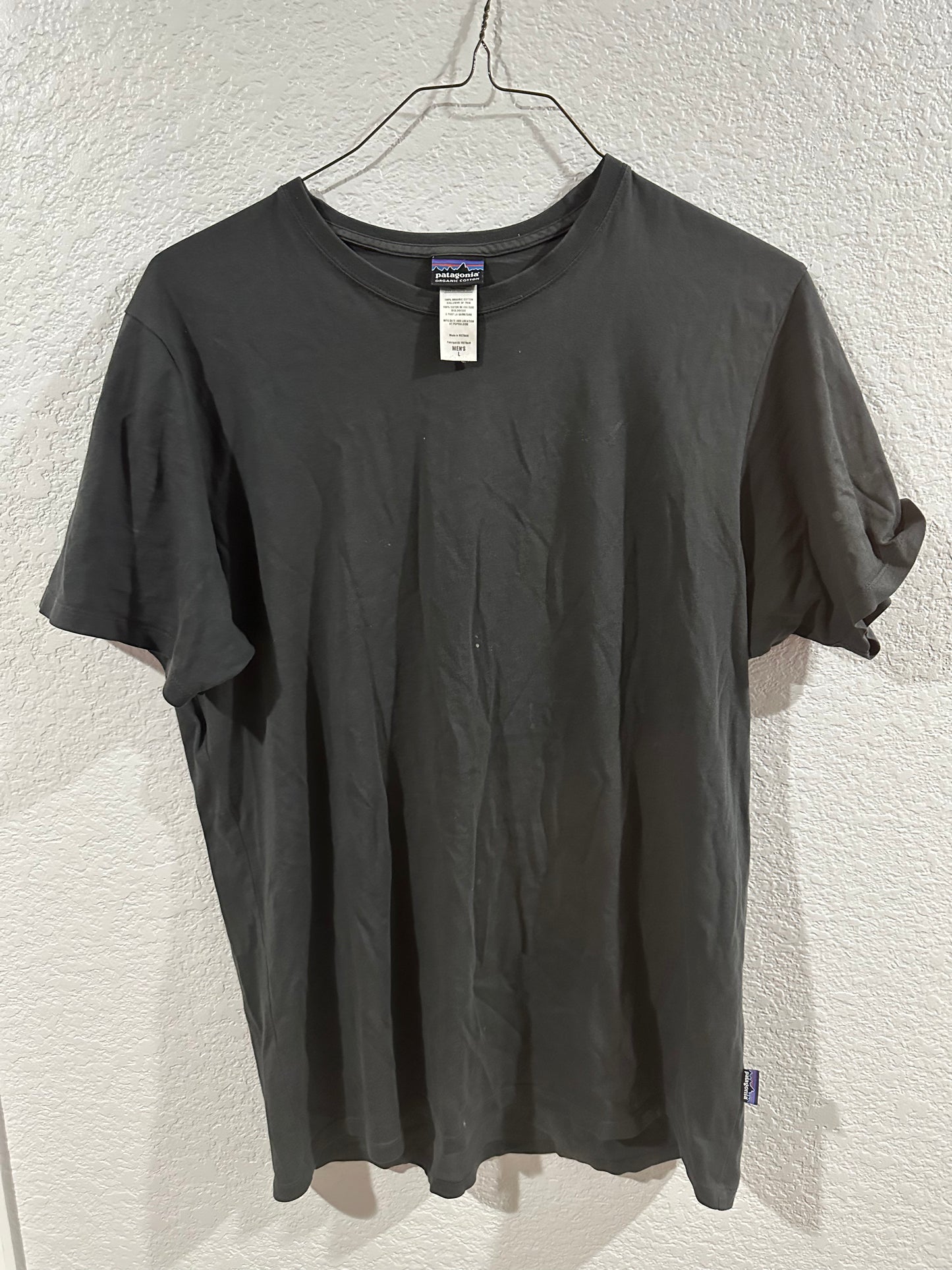 Patagonia tee