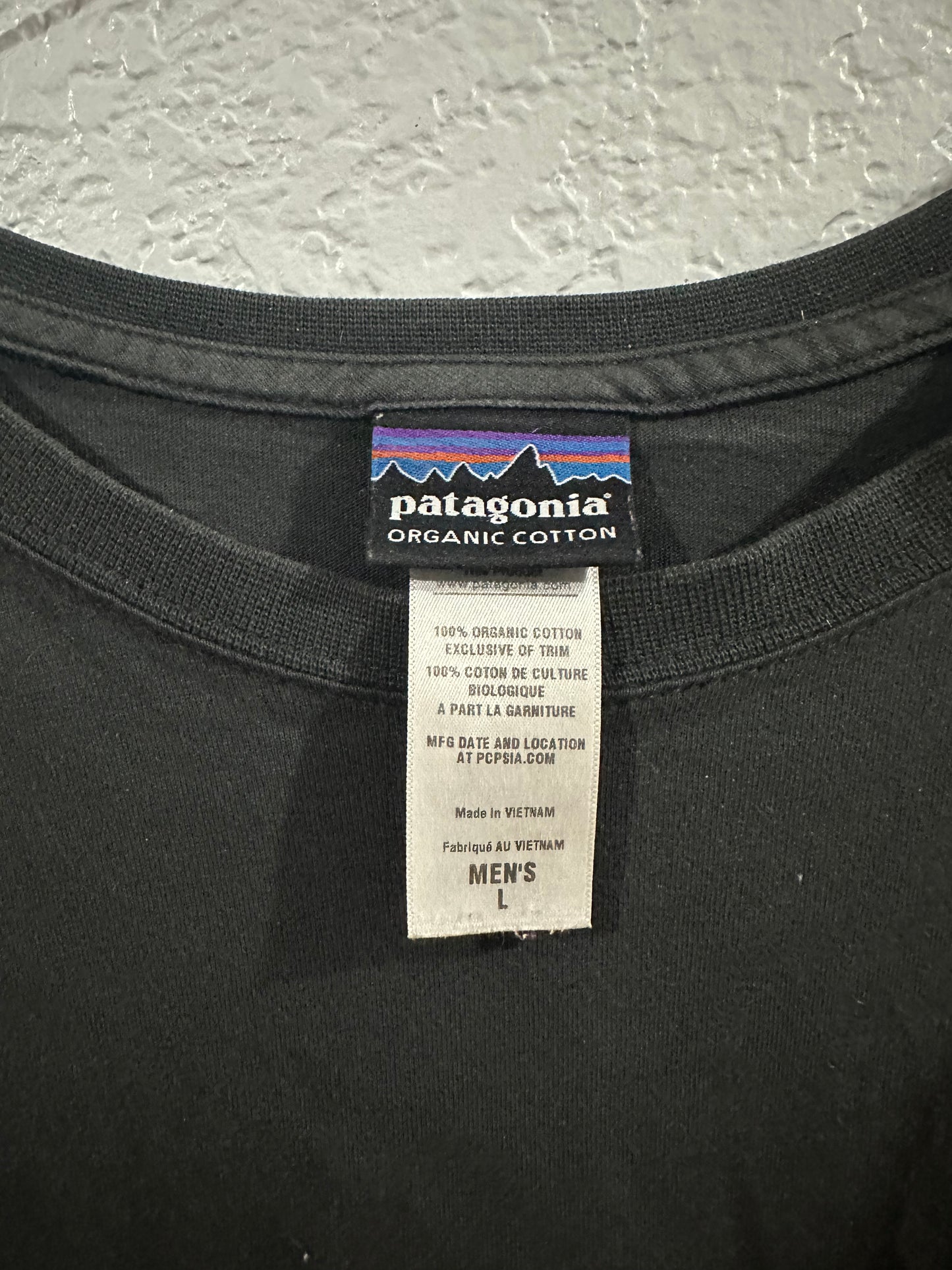 Patagonia tee