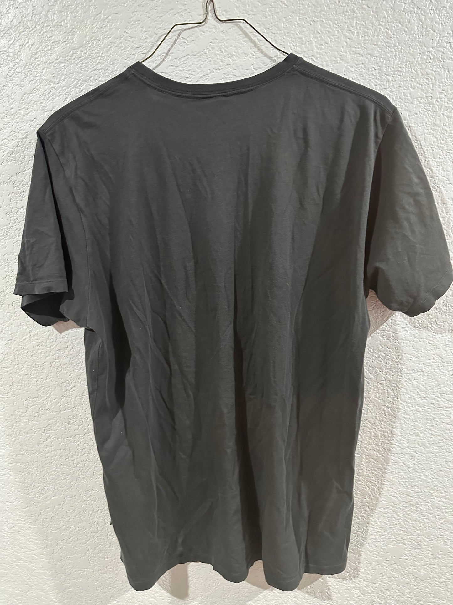 Patagonia tee